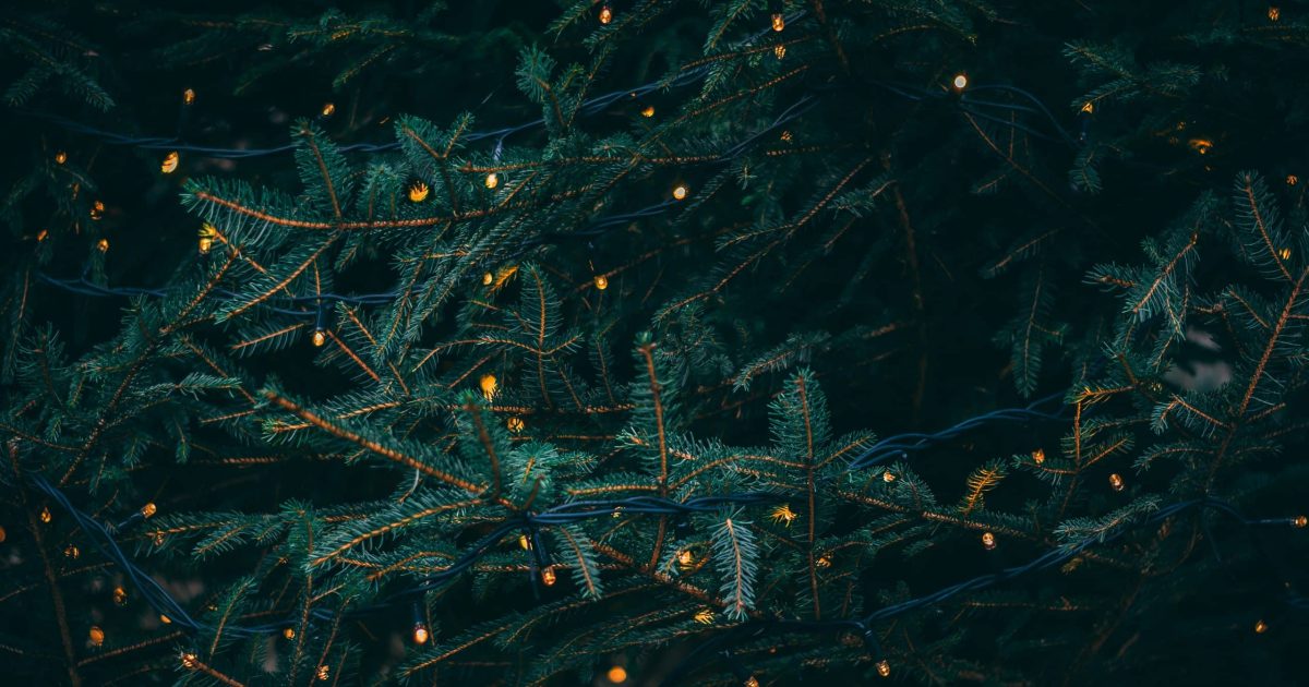 kieran-white-SBdmQcW8qag-unsplash